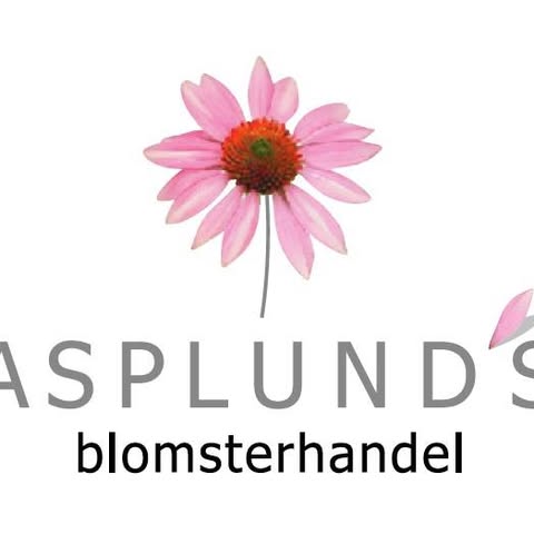 Asplunds Blomsterhandel Eftr logo