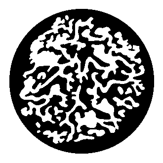 Lagotto Executive Search & Interim AB logo