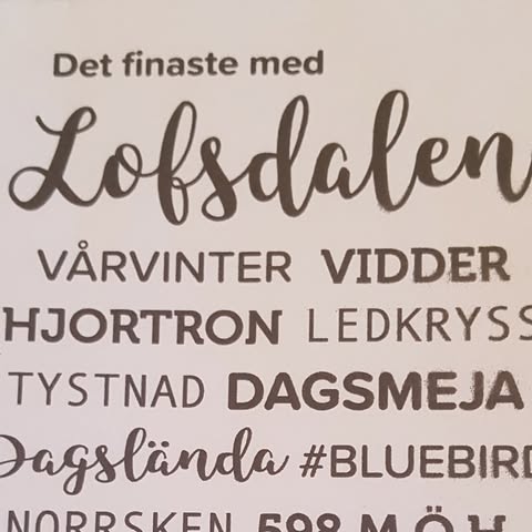 Lin & Lilja i Lofsdalen AB logo