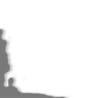 Neuhauser & Falck Executive Search AB logo
