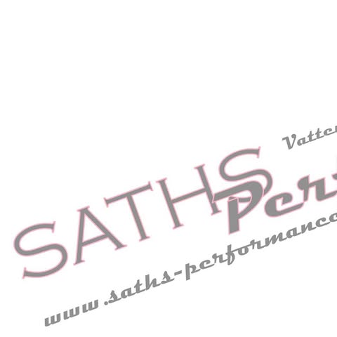 SATHS Performance AB logo
